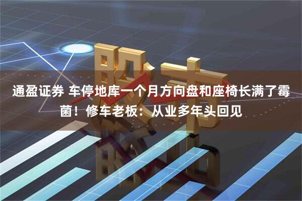 通盈证券 车停地库一个月方向盘和座椅长满了霉菌！修车老板：从业多年头回见
